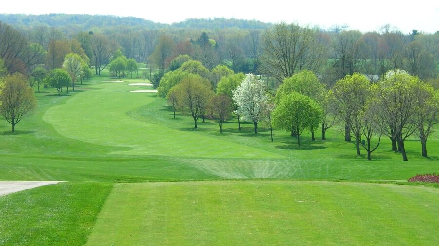 Turkeyfoot Lake GL: #6