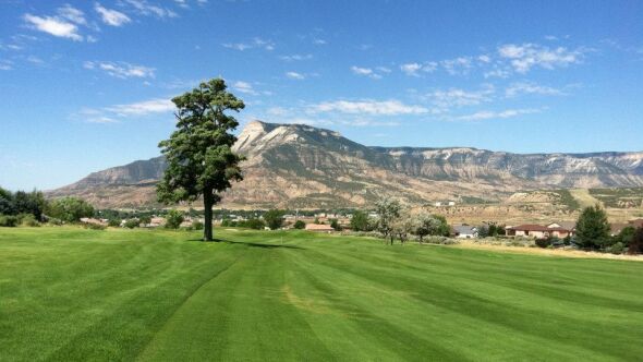 Battlement Mesa GC: #17