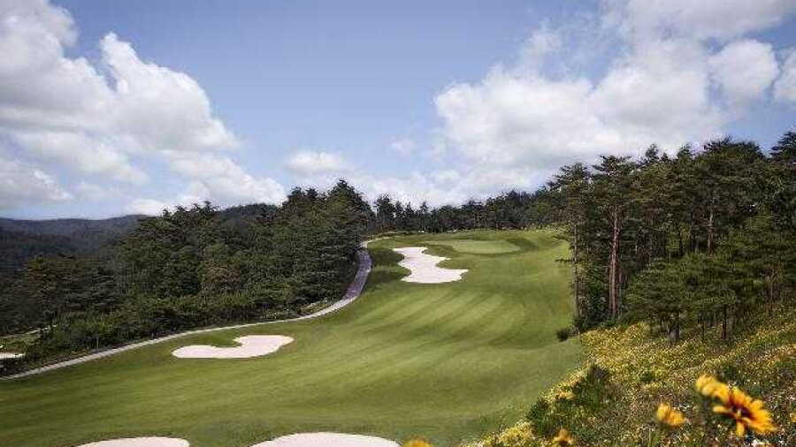 Pine Valley CC