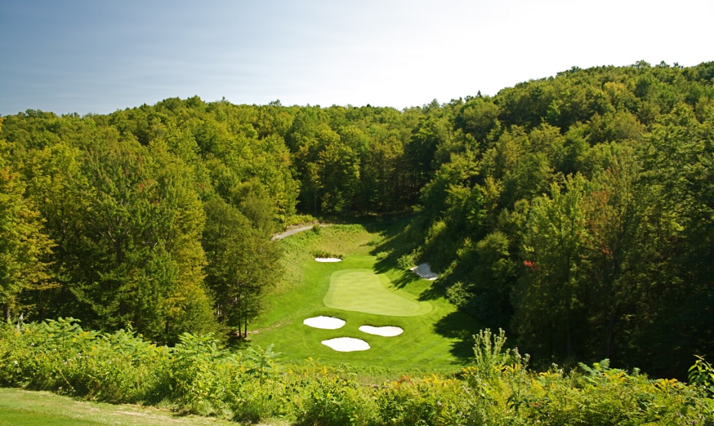 Treetops Resort Hosting The National Par 3 Team Championship