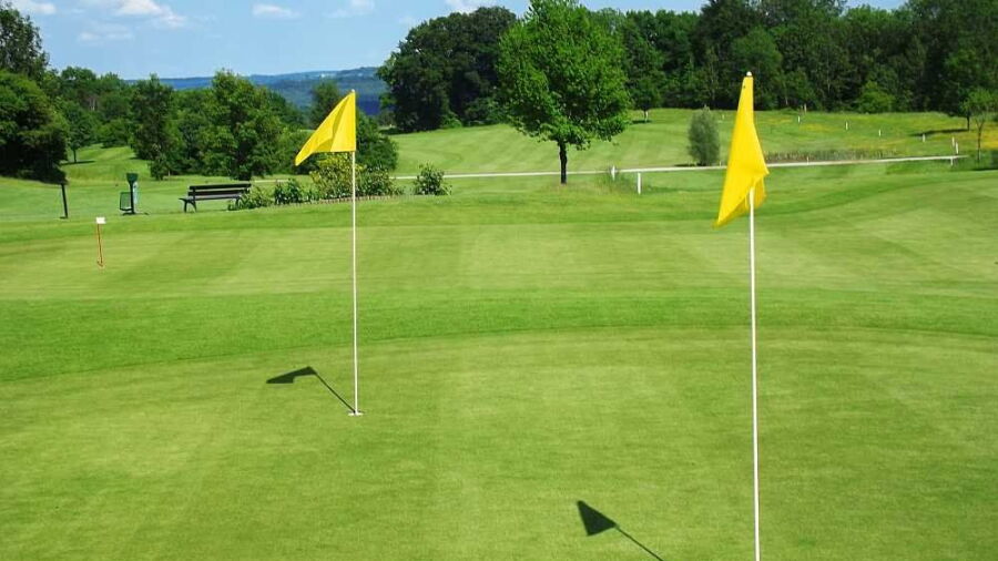 Bergkramerhof GC: putting green