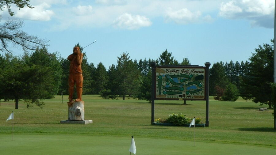 Babbitt GC: Practice area