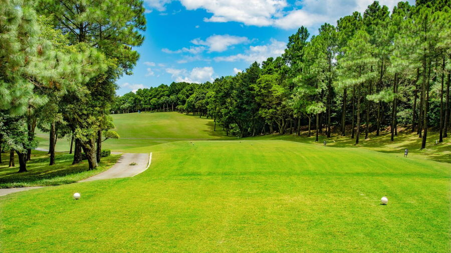 Chang Gung GC - South: #3