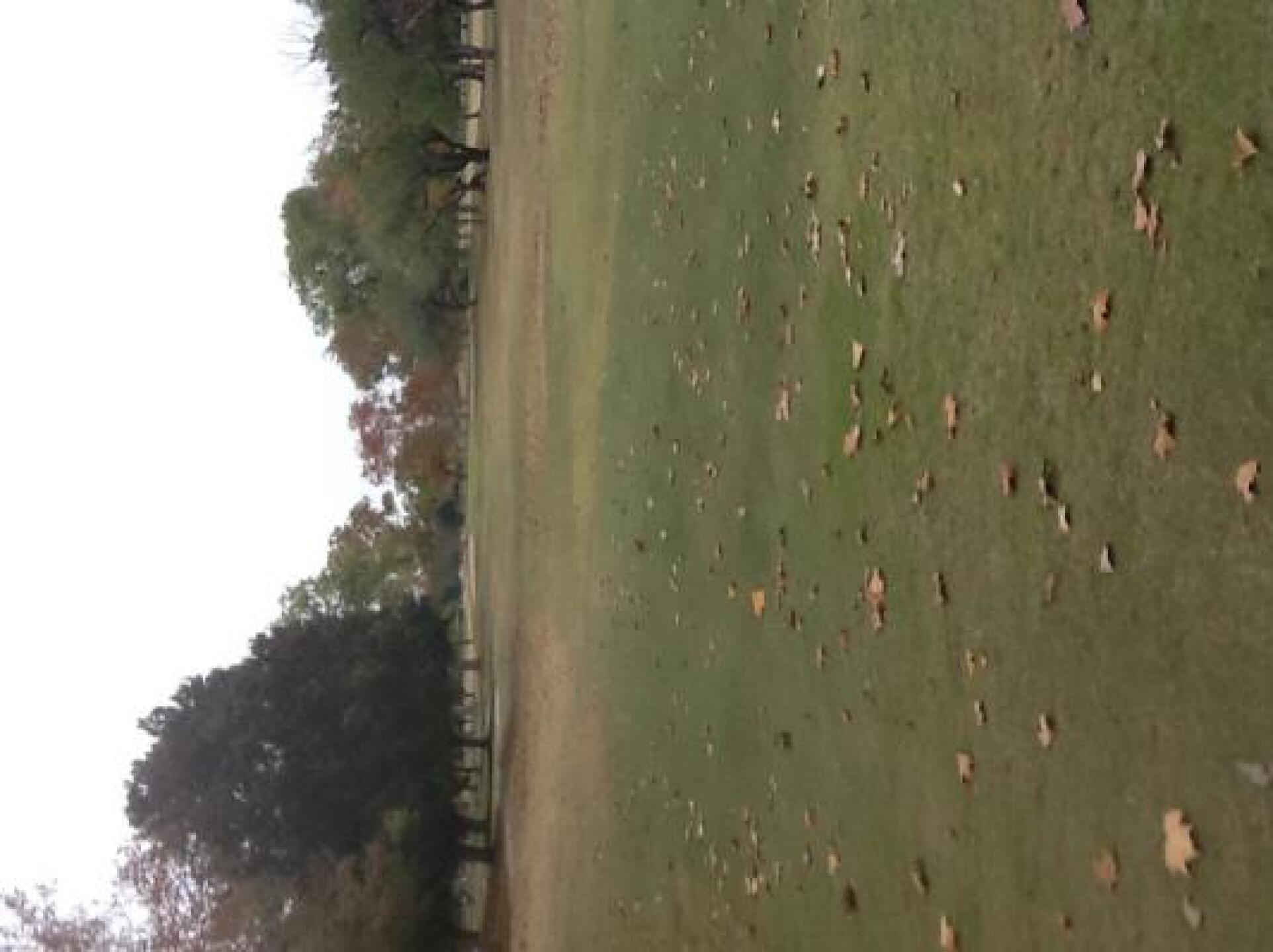 (Photo submitted by u000008035062 on 12/07/2013)