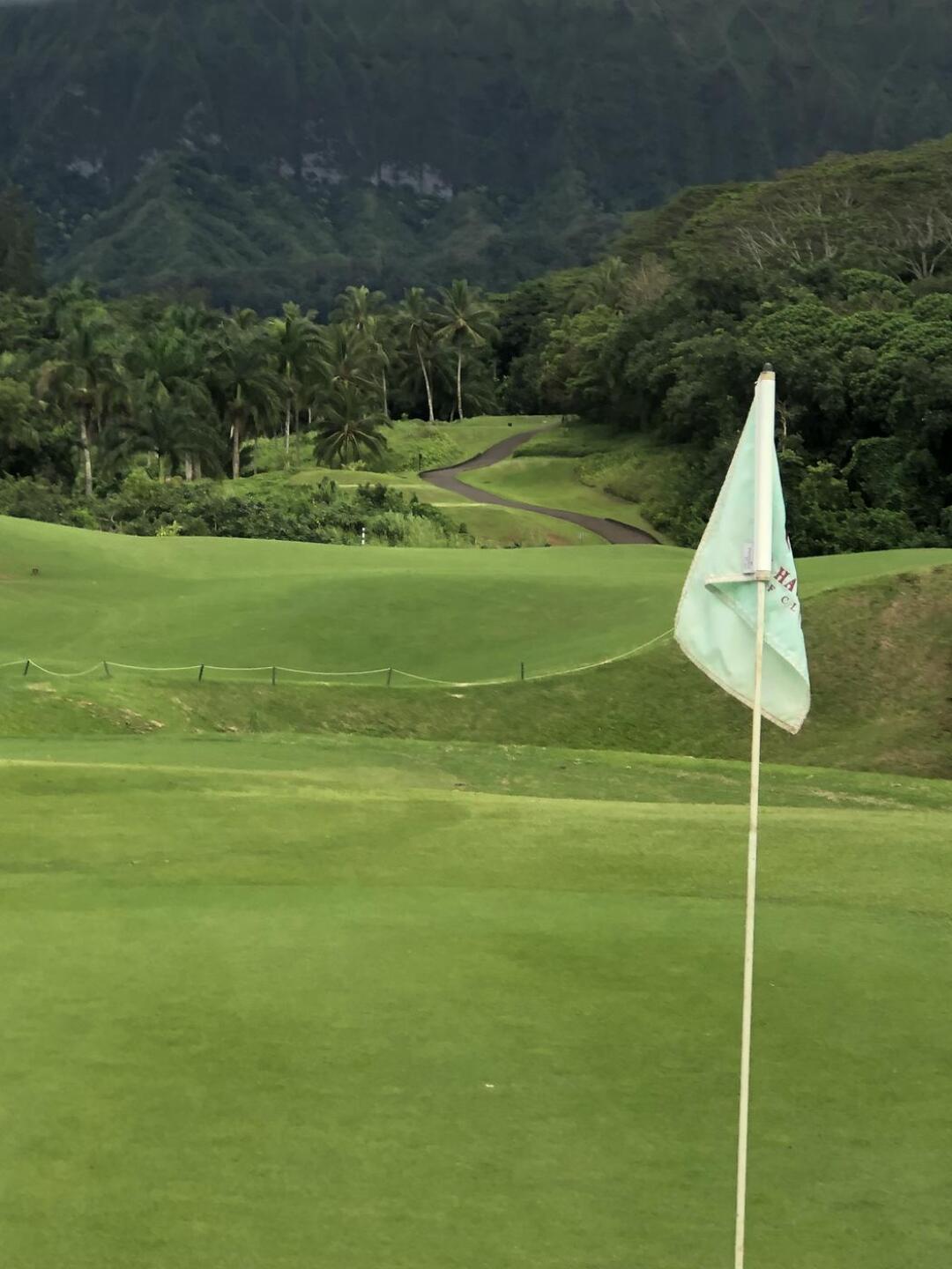 (Photo submitted by jimnjodygolf on 11/01/2021)