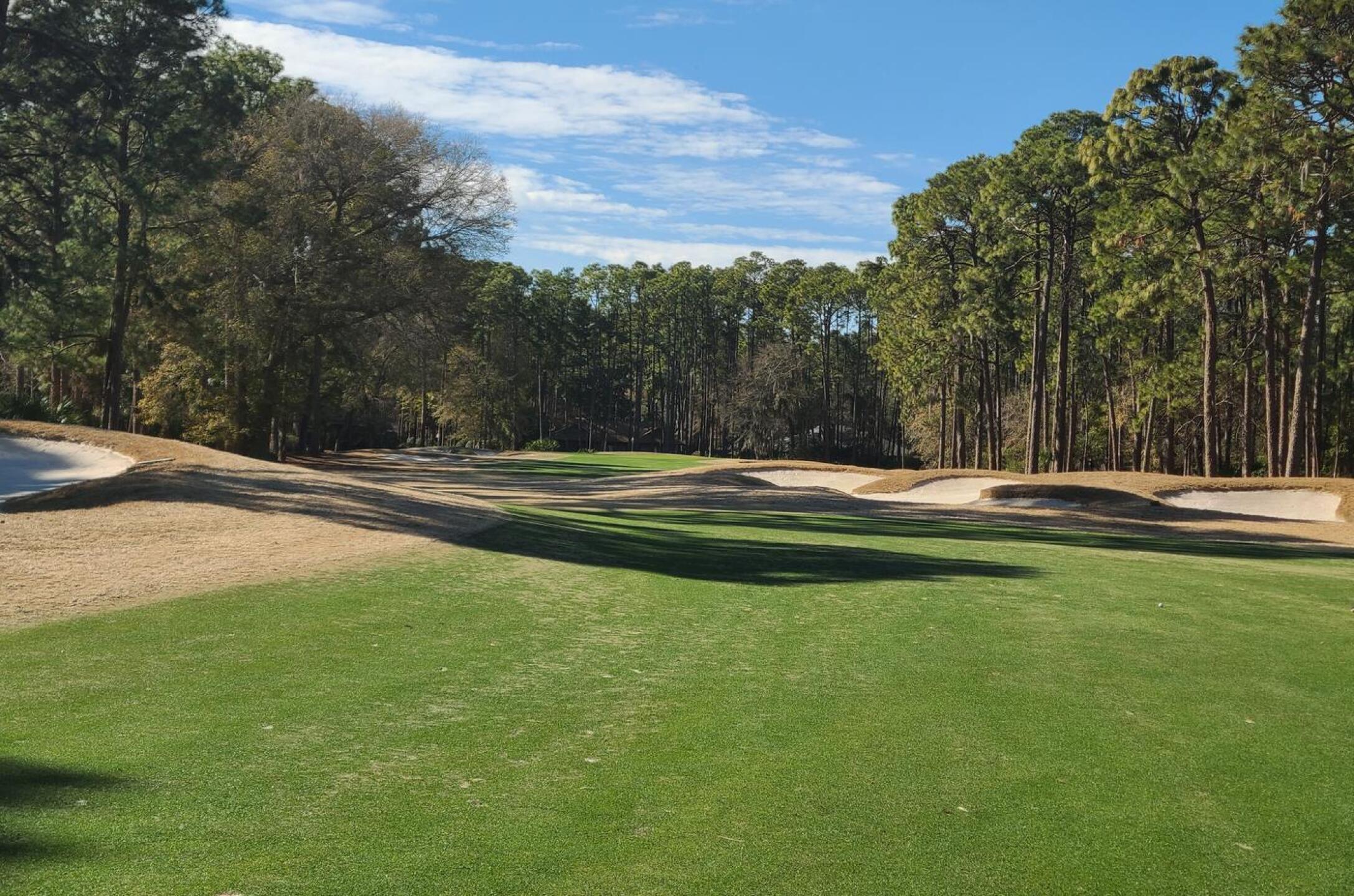 (Photo submitted by ironwood5757 on 02/18/2026)