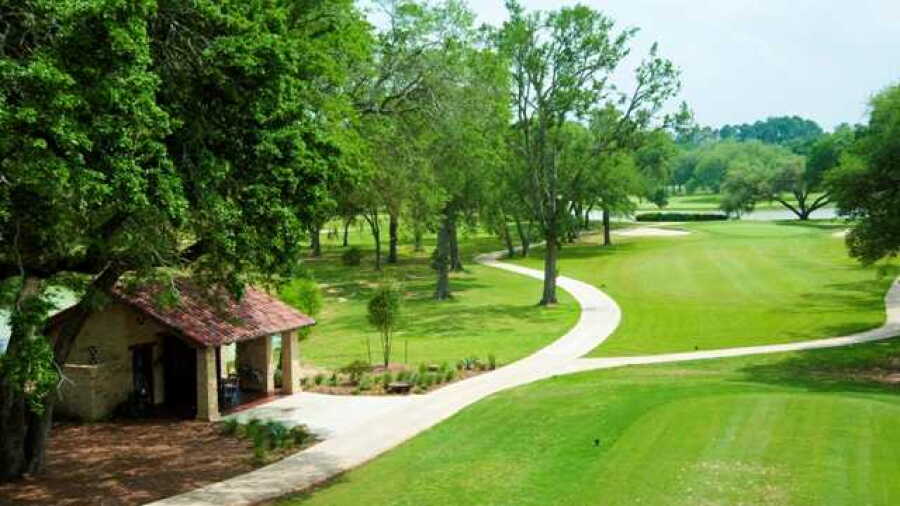 Houston Oaks #7