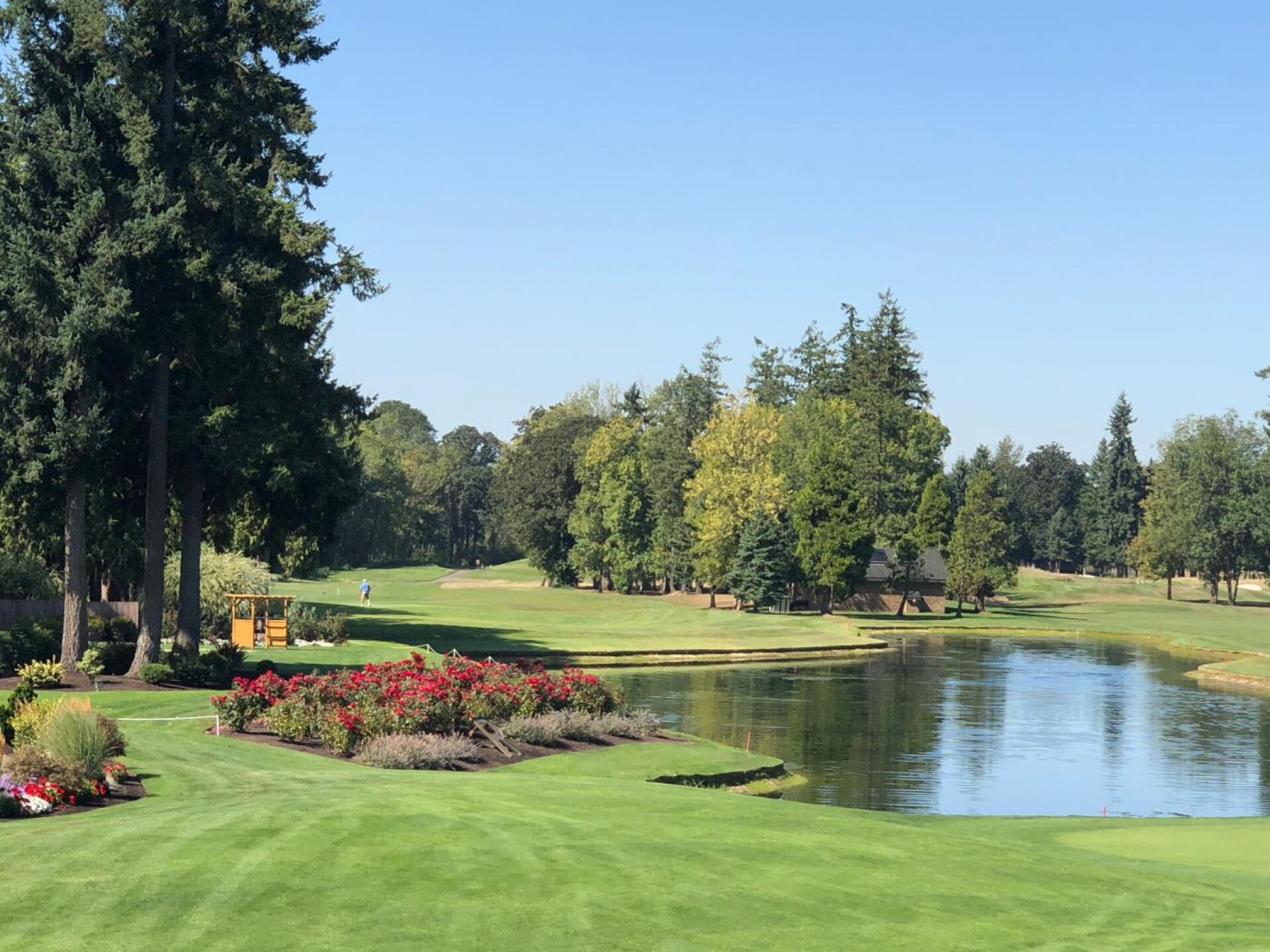 (Photo submitted by 12488 on 08/28/2019)