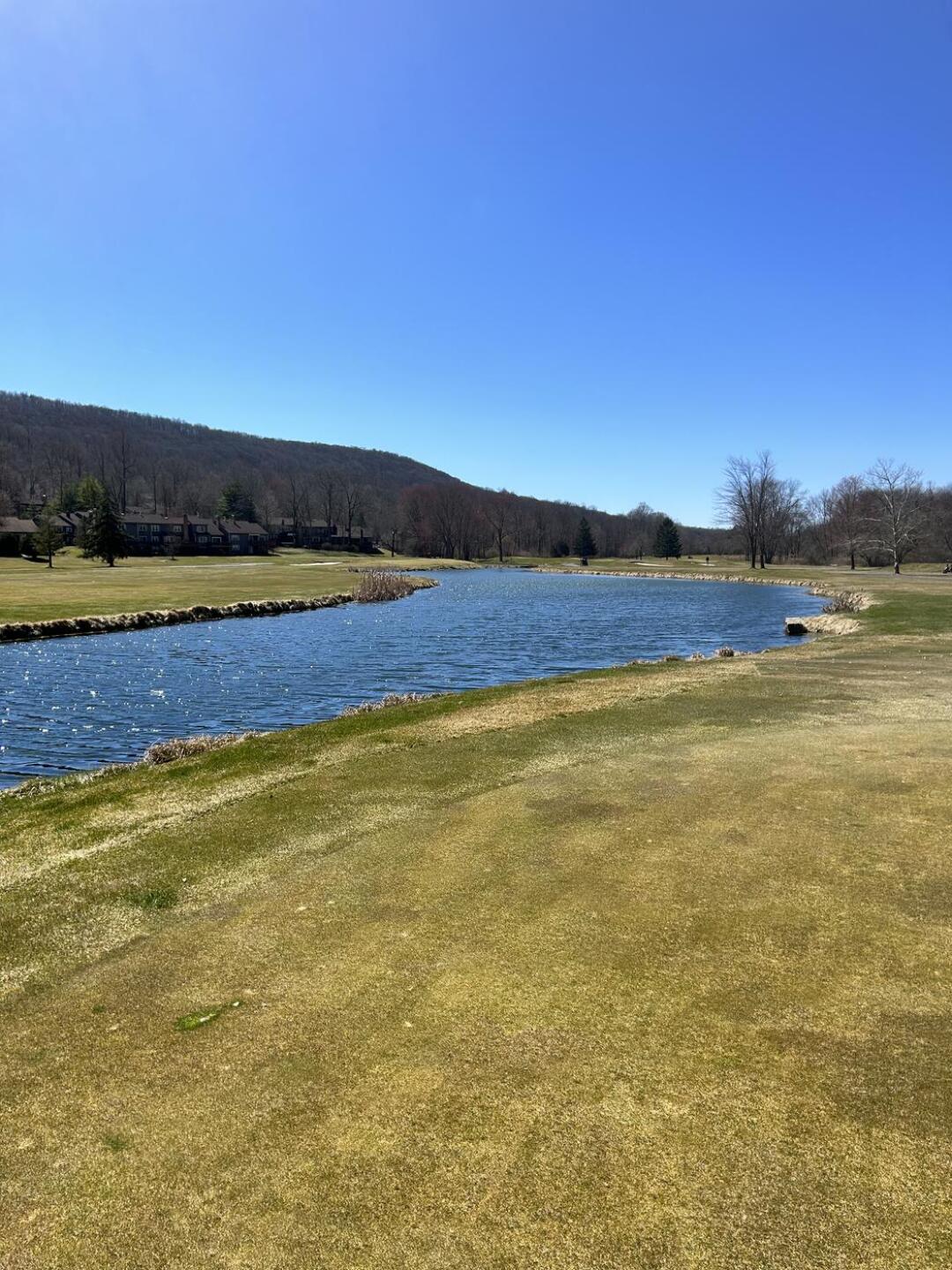 (Photo submitted by domgargano on 04/09/2023)