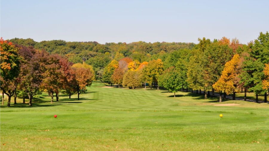 Pinnacle CC: #1