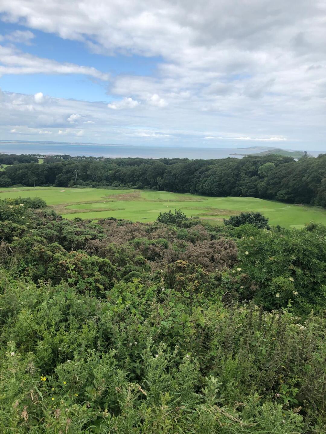 (Photo submitted by Richie4326581 on 07/06/2019)