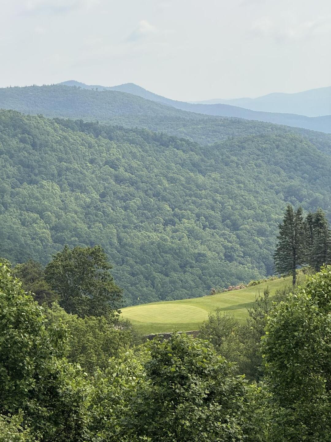 (Photo submitted by Cevans849 on 06/03/2025)