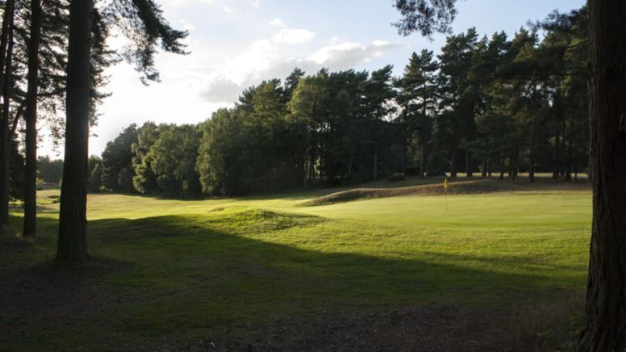 Market Rasen GC: #11