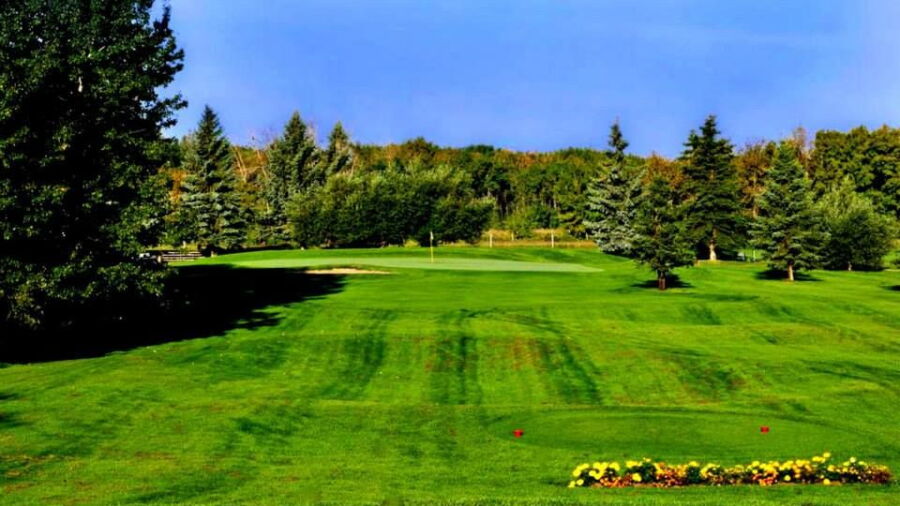 Cardiff GCC
