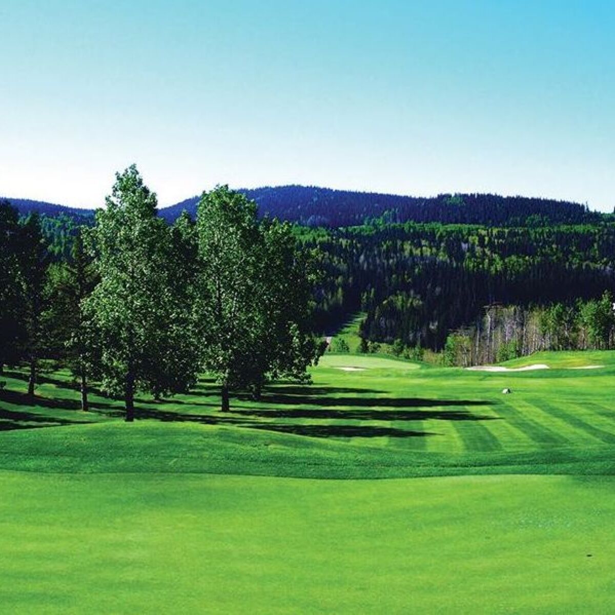 Priddis Greens Golf and Country Club Raven in Priddis, Alberta