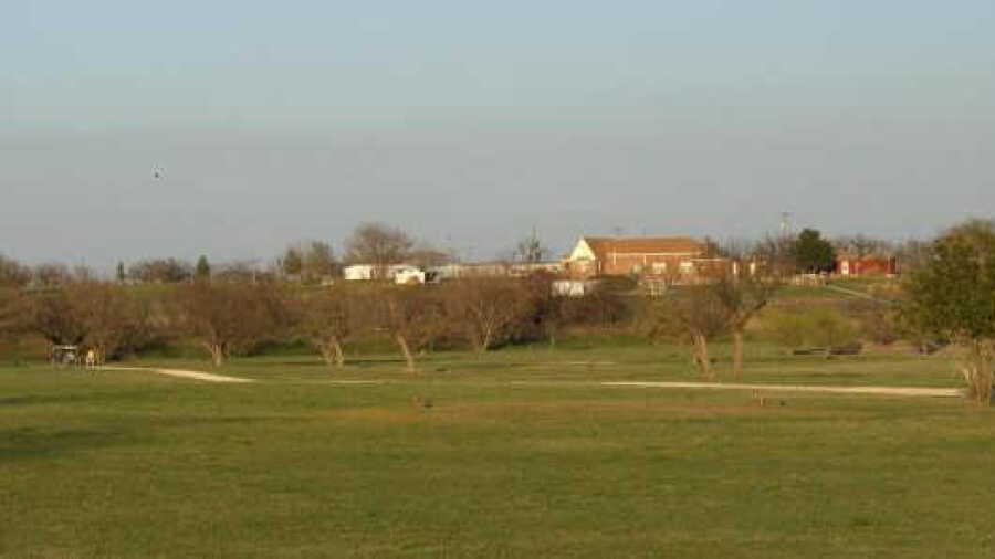 Coleman CC