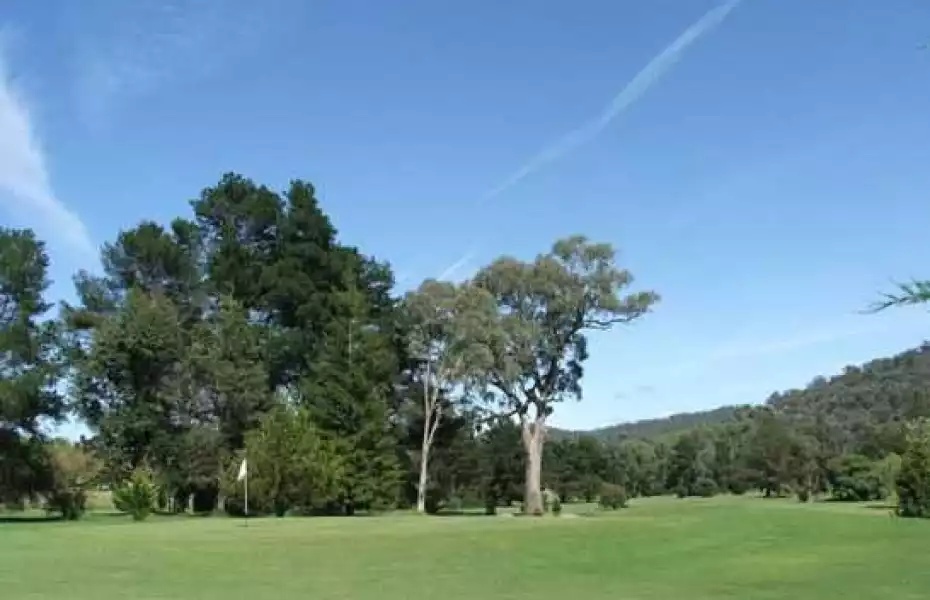 Myrtleford GC: #8