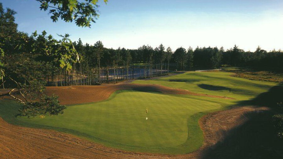 Hemlock GC: #3