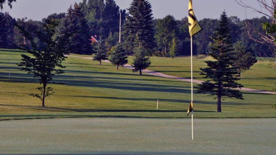 Shamrock GC: #11