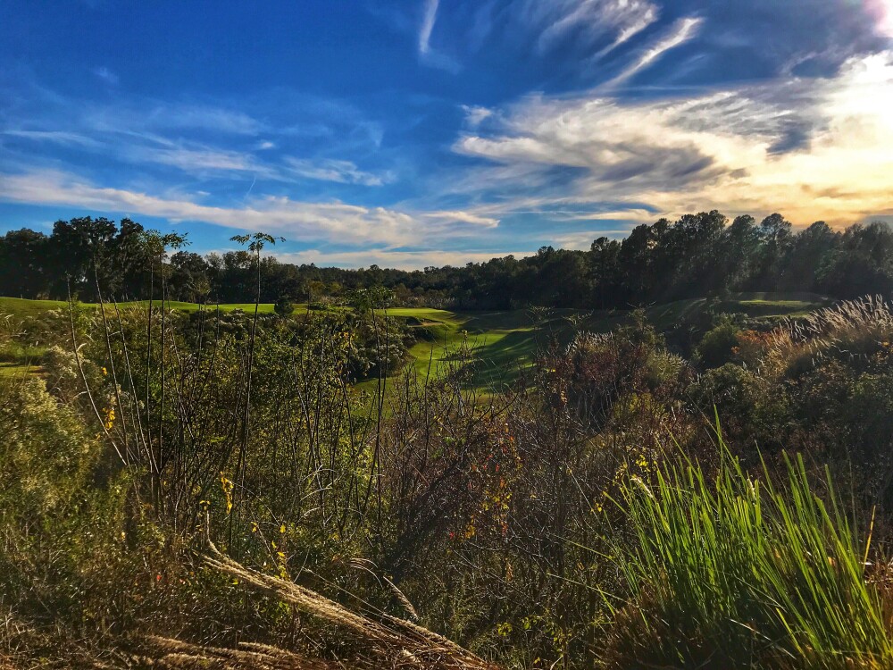 Brooksville CC 12