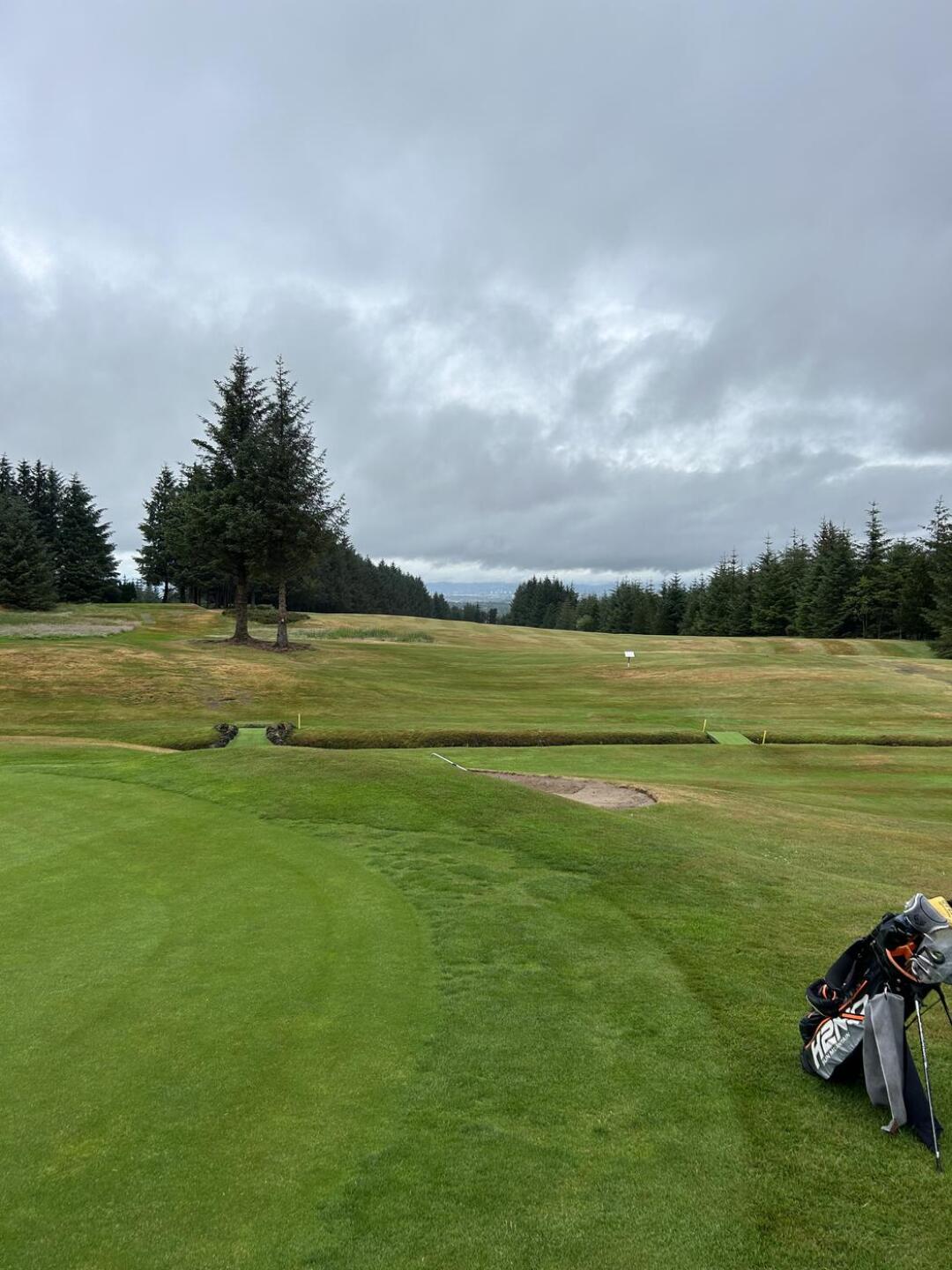 (Photo submitted by Nickykane86 on 06/27/2023)