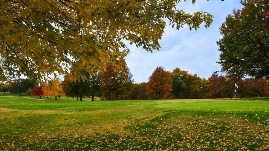 Dogwood Hills Golf Resort