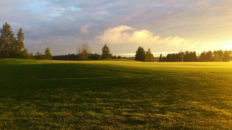 Degerfors GC: #7