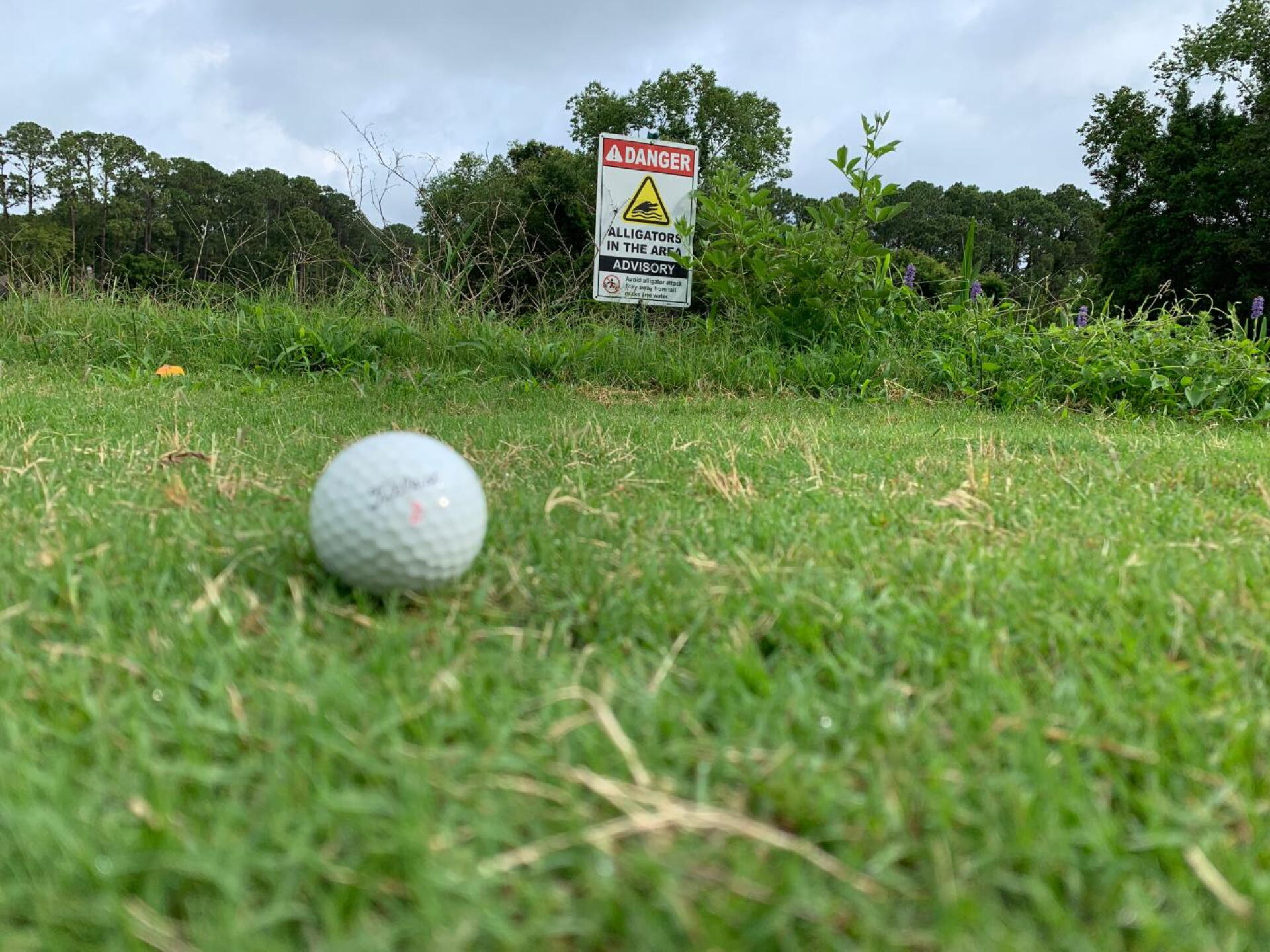 (Photo submitted by JSoul54 on 06/05/2019)