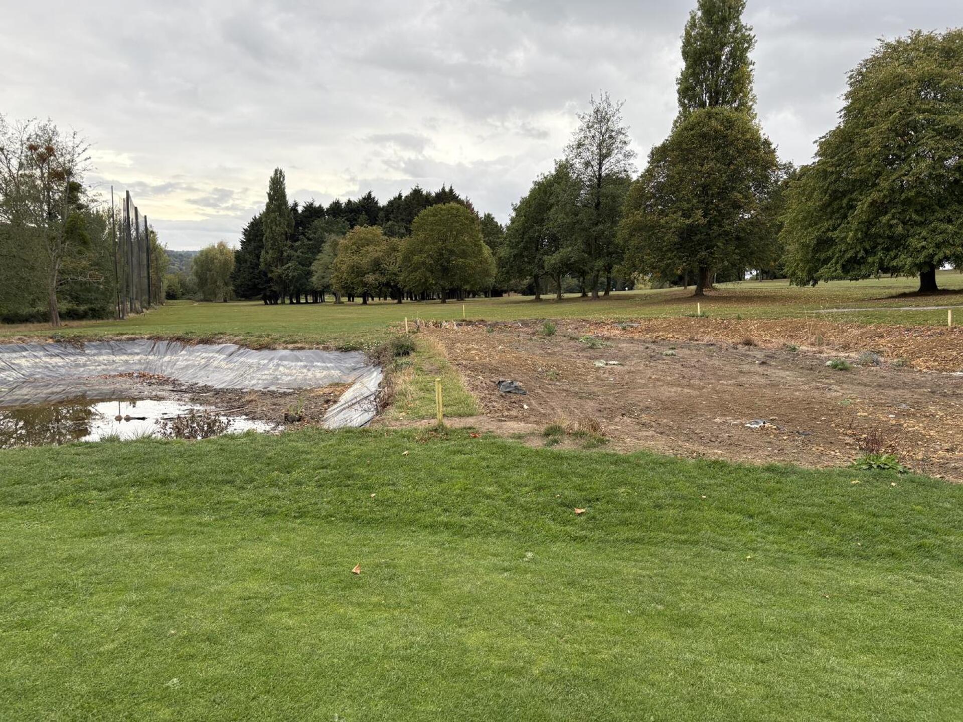 (Photo submitted by u314162221586 on 09/03/2025)