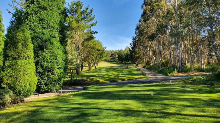Hercules GC