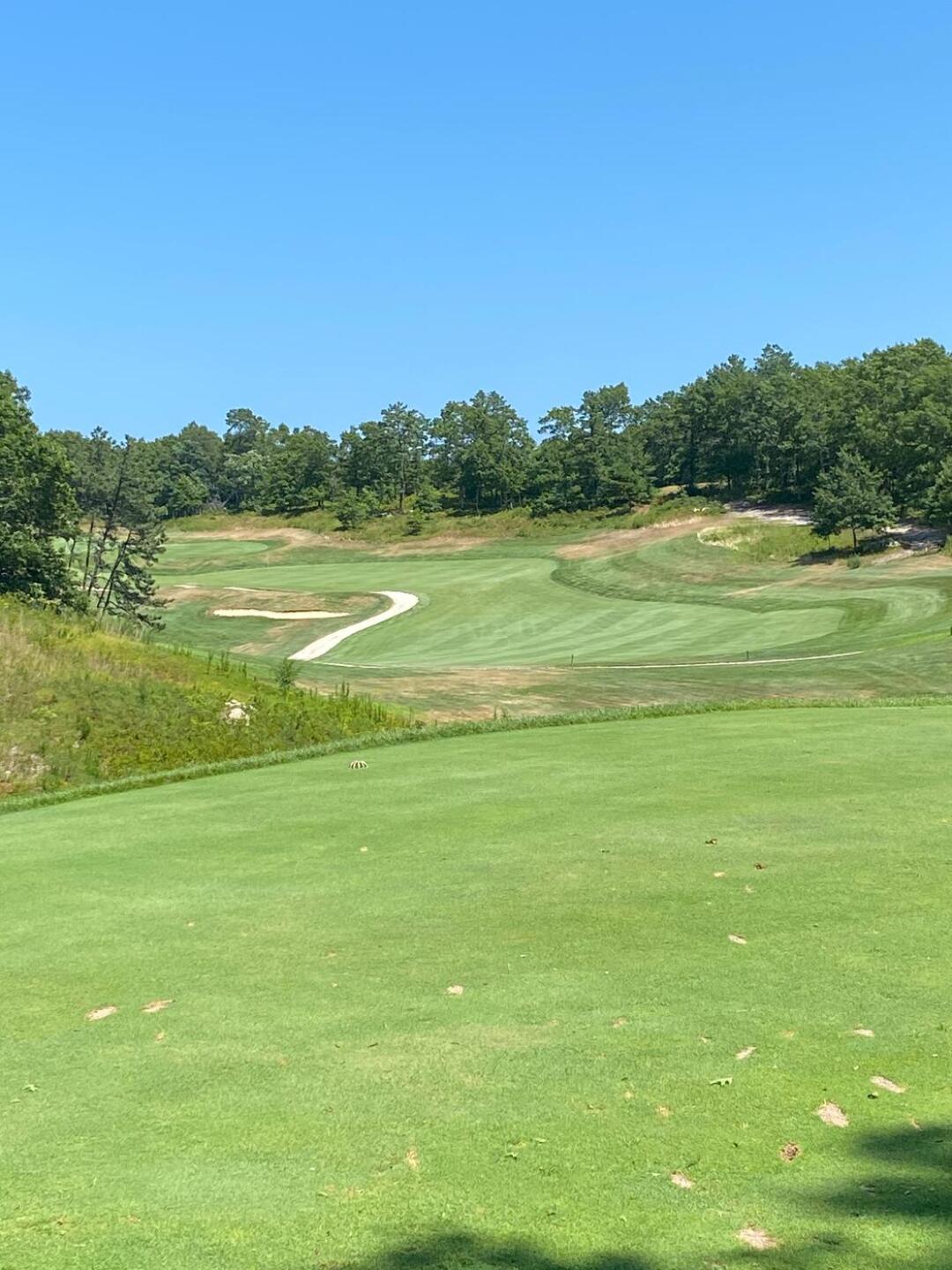 (Photo submitted by James2856009 on 08/05/2020)