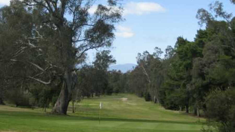 Alexandra GC