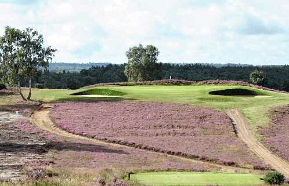 Hankley Common Golf Club in Farnham, Waverley, England GolfPass
