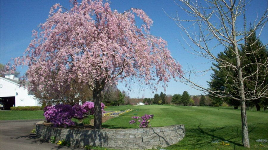 Watertown GC