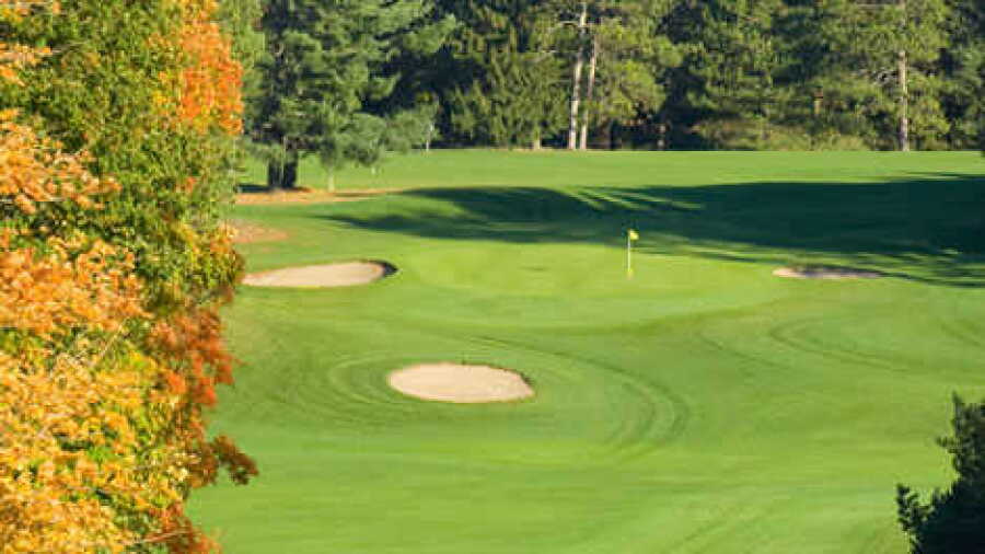 Pinecroft GP: #12