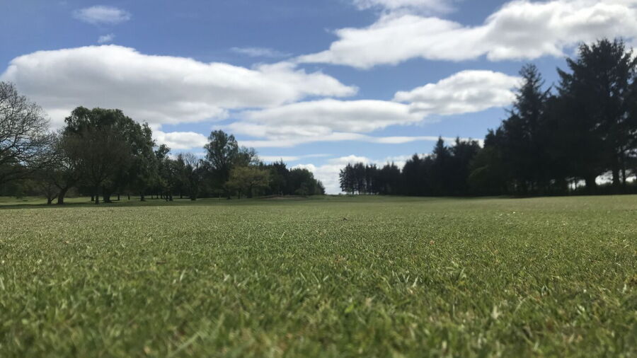 Hamilton GC: #5