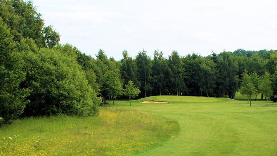 Lingdale GC: #16