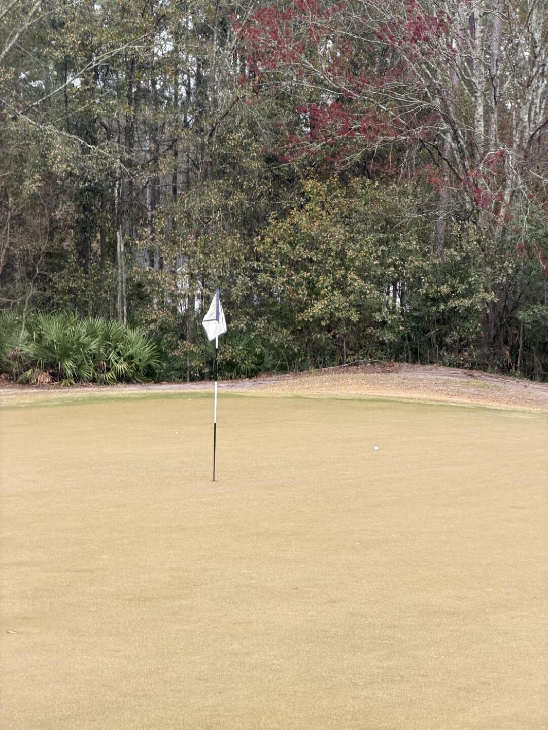 (Photo submitted by u7416965 on 02/12/2026)