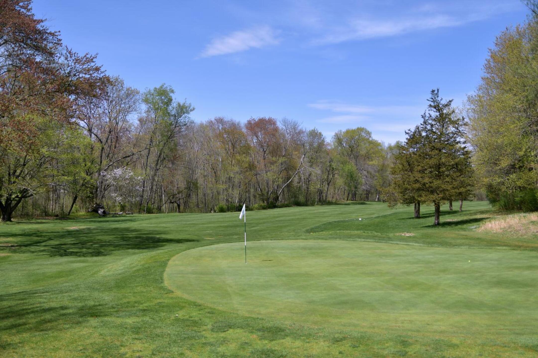Eighth, par-5, 459: Unseen from view here, a deep frontal bunker nabs pitch shots that fall short of this elevated green. (Photo submitted by AptlyLinked on 05/04/2025)