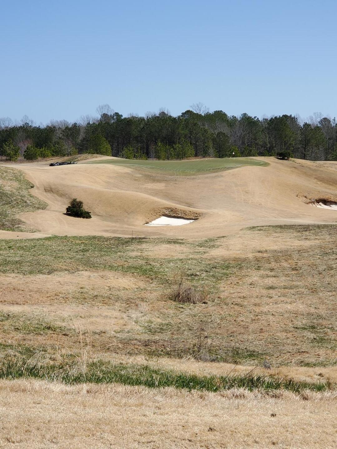 (Photo submitted by u000005382339 on 03/25/2021)