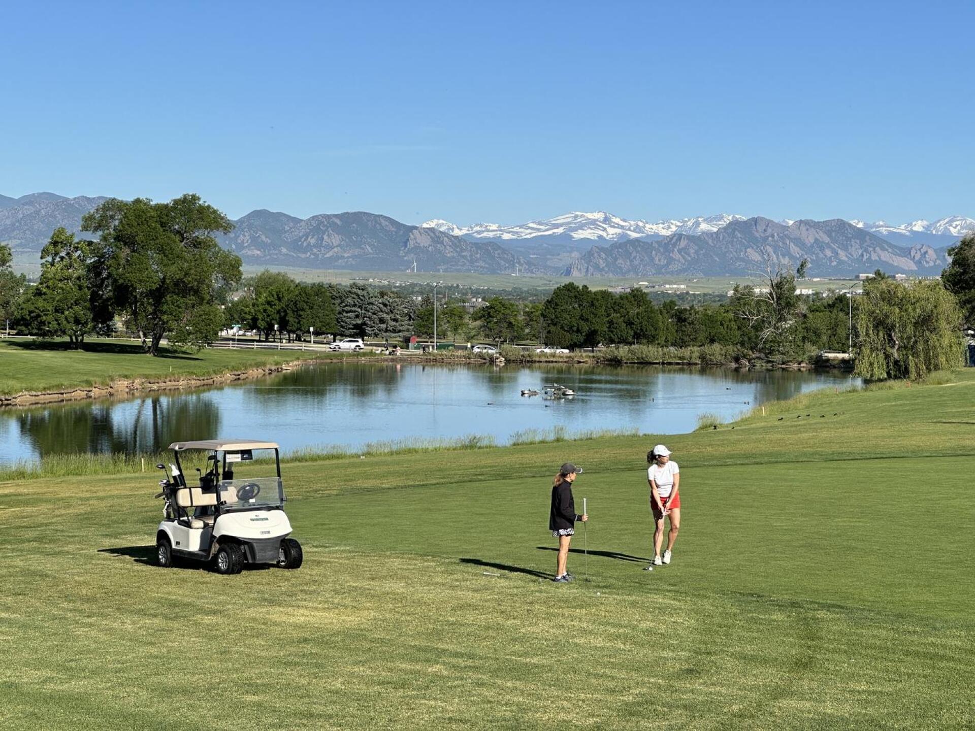 (Photo submitted by lostmyball on 06/08/2024)