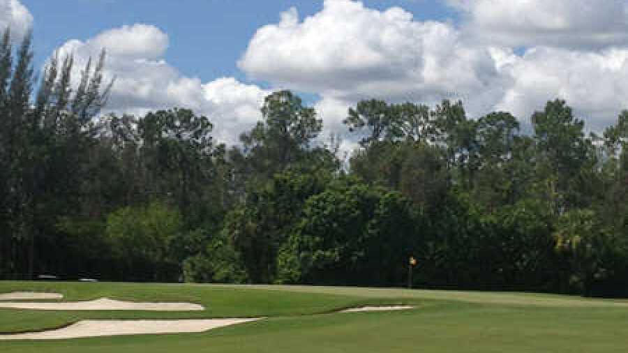 Bear's Paw CC: #7
