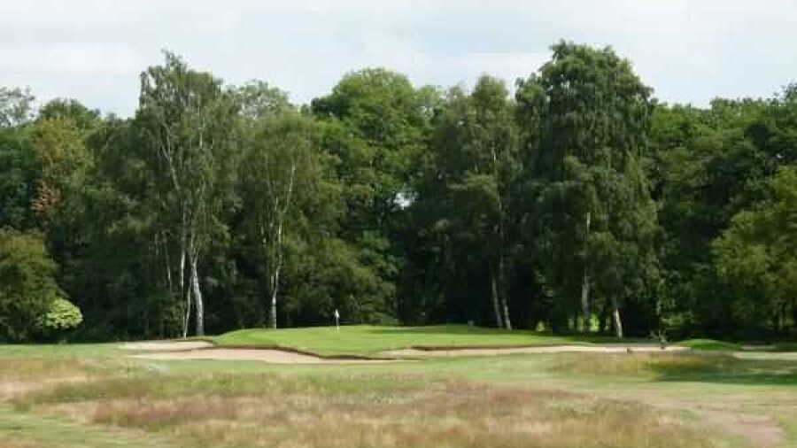 12th green over the rough