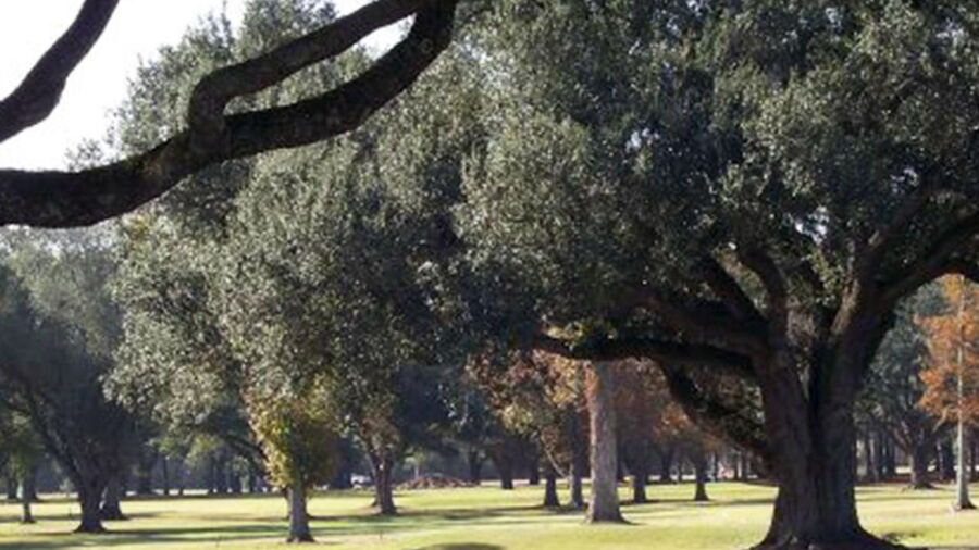 Southern Oaks GC