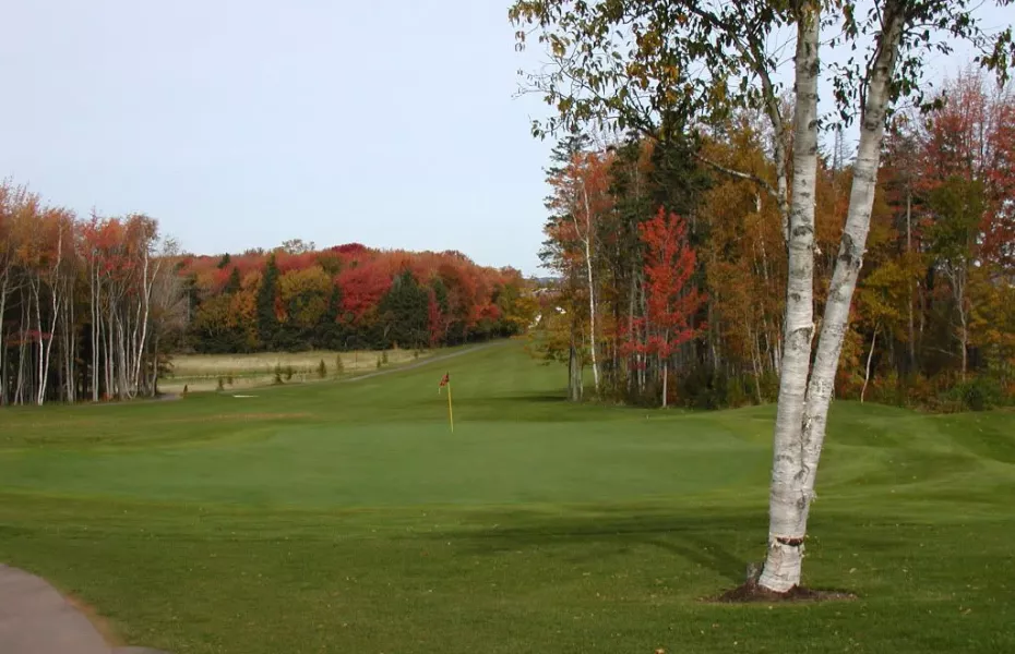Fox Meadow: #18