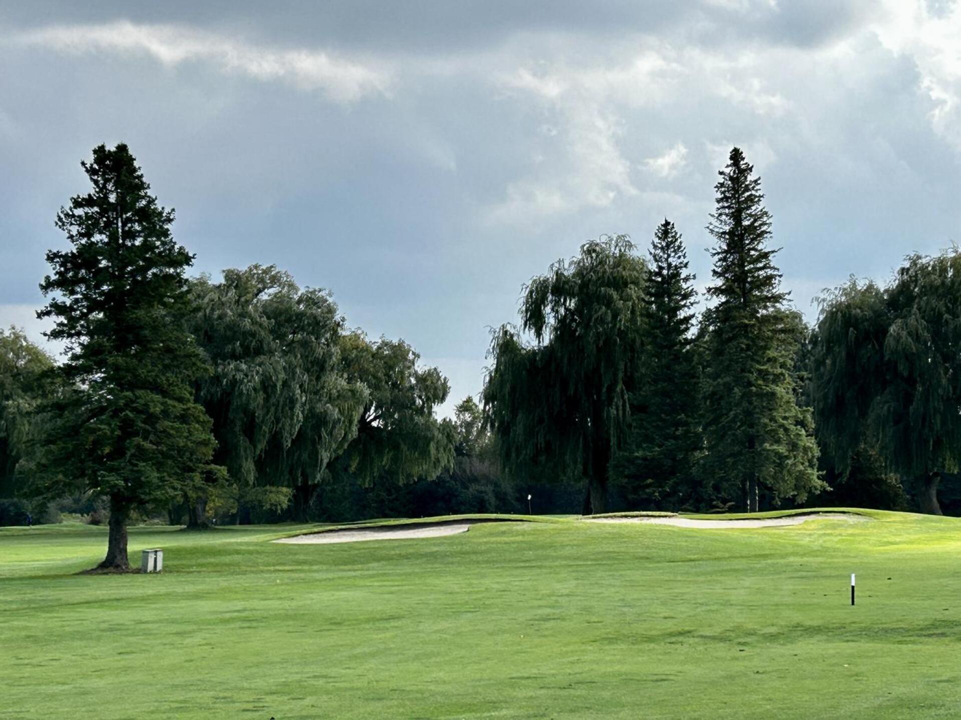 (Photo submitted by Merv4 on 10/09/2023)