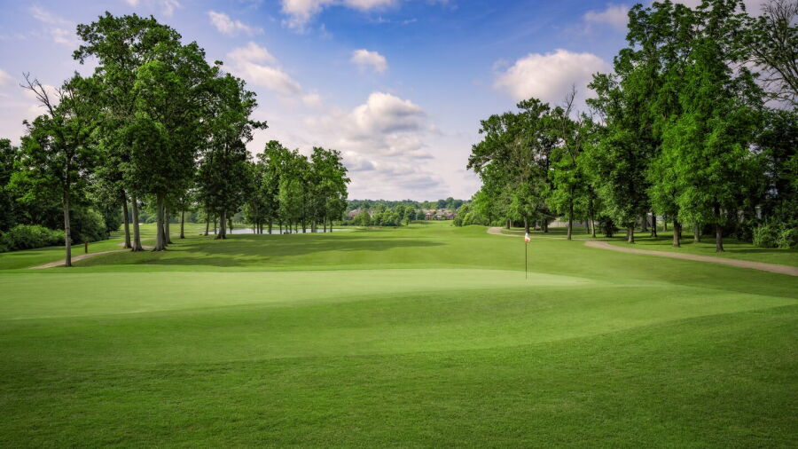 Towhee Club: #16
