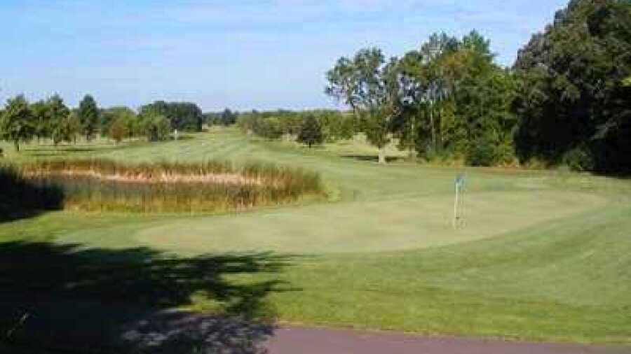 Purple Hawk CC: #9
