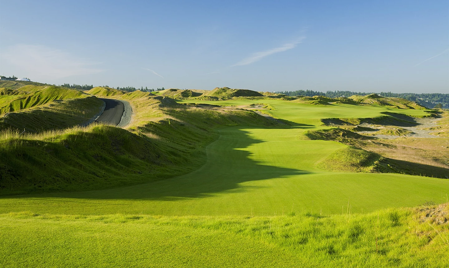 Chambers Bay golf course - 16th hole