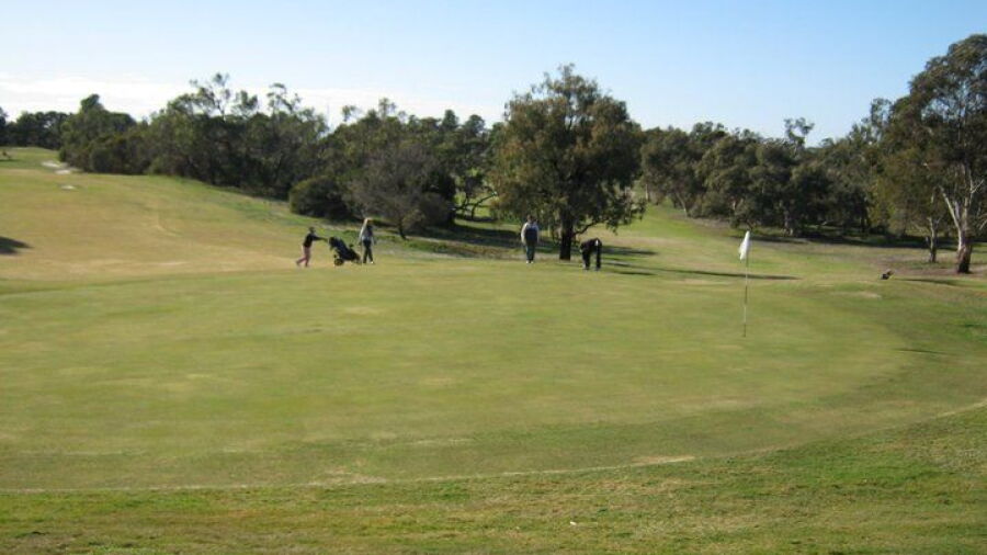 Bordertown GC: #4